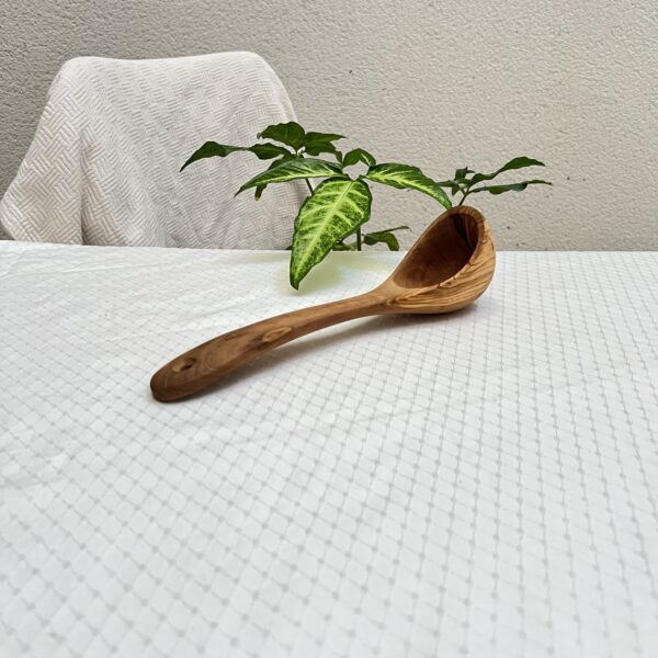 Louche 27 cm
