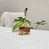 Éléphant porte cure-dents ou porte stylo