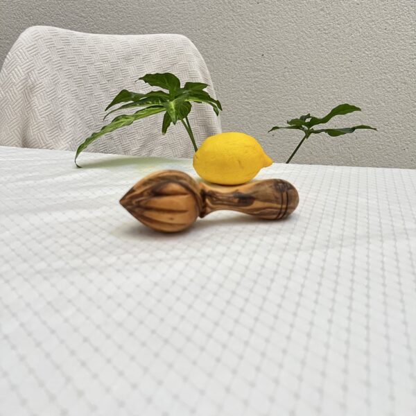 Presse citron (presse agrumes)