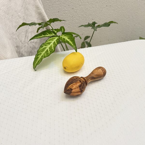 Presse citron (presse agrumes)